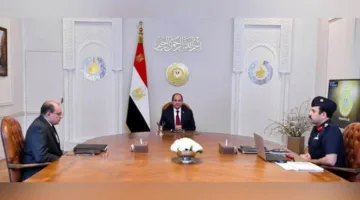السيسي يتابع مشروعات “مستقبل مصر” ويشدد على أهمية تعزيز الأمن الغذائي وتوفير المستلزمات الأساسية