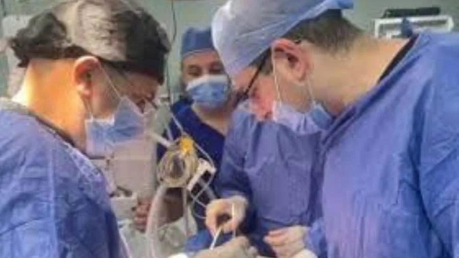 الصحة: فريق طبي مصري يرمم فك مريض روسي بالمنظار والميكروسكوب بمستشفى العلمين الصحة: فريق طبي مصري يرمم فك مريض روسي بالمنظار والميكروسكوب بمستشفى العلمين