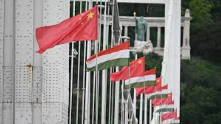 الصين والمجر تلتزمان بتعزيز التعاون في مجالات السيادة الوطنية، وتطبيق القانون، ومبادرة الحزام والطريق.