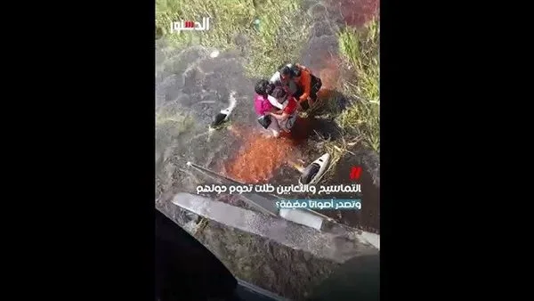 الطيارة وقعت في بحيرة تماسيح.. قصة 36 ساعة مخيفة قضاها ركاب في بوليفيا (فيديو) الطيارة وقعت في بحيرة تماسيح.. قصة 36 ساعة مخيفة قضاها ركاب في بوليفيا (فيديو)