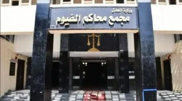 العدالة تتحقق بعد عامين.. حكم الإعدام على قاتل الشاب أمير وجيه في جريمة أثارت ضجة في الفيوم