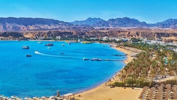 الغرف السياحية تكشف فوائد التأشيرة الإلكترونية الغرف السياحية تكشف فوائد التأشيرة الإلكترونية