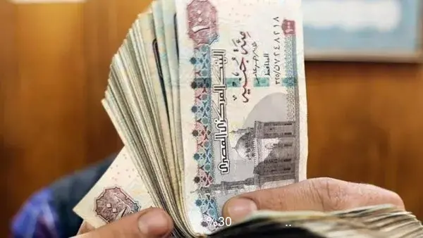 الفئات المسموح لها الجمع بين معاشين.. زيادة تصل إلى 30% الفئات المسموح لها الجمع بين معاشين.. زيادة تصل إلى 30%