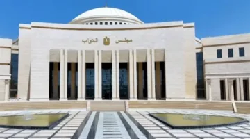 القانون العمالي الجديد في مصر: تعزيز الحقوق وتوفير ضمانات العدالة في ظروف العمل