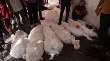 القاهرة الإخبارية: شهيدان وجريح في قصف إسرائيلي استهدف مواطنين غرب بلدة بيت لاهيا