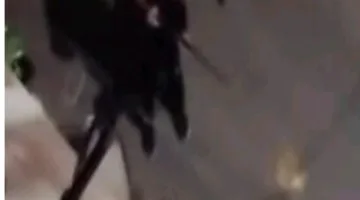 القبض على المتهم باطلاق أعيرة نارية على الكلاب بمصر الجديدة