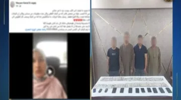 القبض على تشكيل عصابي استولى على أموال سيدة من ذوي الاحتياجات الخاصة بالمنيا
