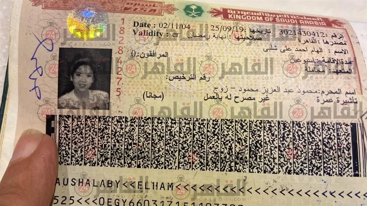 القصة الكاملة لزواج وطلاق محمود عبد العزيز وبوسي شلبي القصة الكاملة لزواج وطلاق محمود عبد العزيز وبوسي شلبي