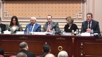 القومي لحقوق الإنسان: مشروع قانون الإيجارات القديمة يجب أن يراعي محدودي الدخل
