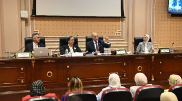 القومي لذوي الإعاقة يعرض خطته أمام “تضامن النواب” لموازنة 2025/2026