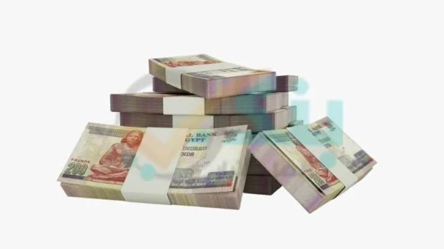 المؤسسات تمثل 83.9% من إجمالي ودائع بنك قناة السويس في نهاية الربع الأول من 2025 المؤسسات تمثل 83.9% من إجمالي ودائع بنك قناة السويس في نهاية الربع الأول من 2025