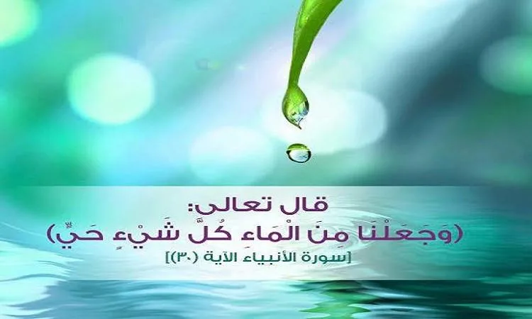 الماء: مصدر كل الكائنات الحية الماء: مصدر كل الكائنات الحية