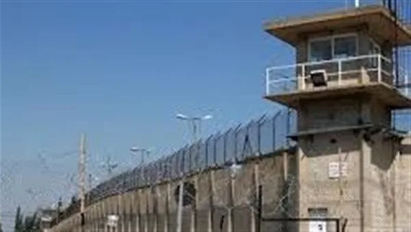 المشدد للمتهمين بإحداث عاهة مستديمة لأحد الأشخاص بالقليوبية المشدد للمتهمين بإحداث عاهة مستديمة لأحد الأشخاص بالقليوبية