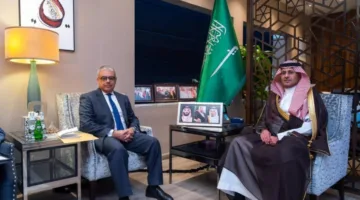 المنصوري يناقش القضايا المشتركة مع السفير المصري