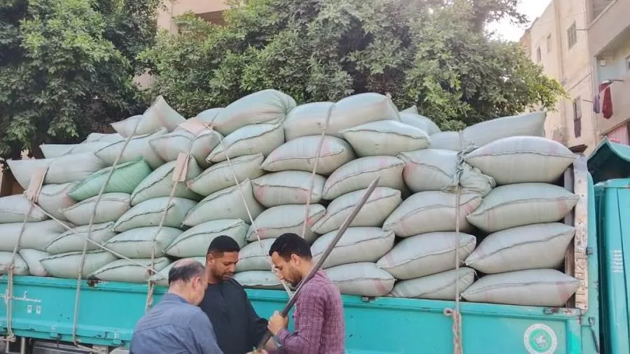 المنيا: استقبال 249 ألف طن من القمح بالشون والصوامع المنيا: استقبال 249 ألف طن من القمح بالشون والصوامع