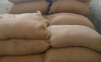 المنيا تحقق رقمًا قياسيًا في توريد القمح.. استقبال 182 ألف طن حتى الآن