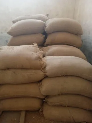 المنيا تحقق رقمًا قياسيًا في توريد القمح.. استقبال 182 ألف طن حتى الآن المنيا تحقق رقمًا قياسيًا في توريد القمح.. استقبال 182 ألف طن حتى الآن
