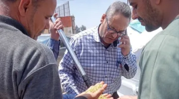 المواقع التخزينية بالشرقية تستقبل 259558 طن قمح