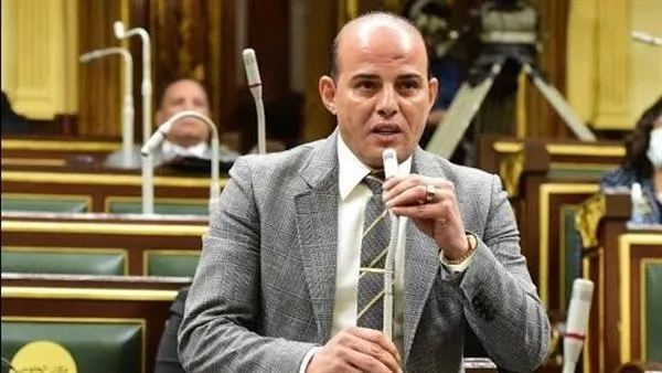 النائب عمرو القطامي: مصر وروسيا تربطهما علاقات متجذرة النائب عمرو القطامي: مصر وروسيا تربطهما علاقات متجذرة