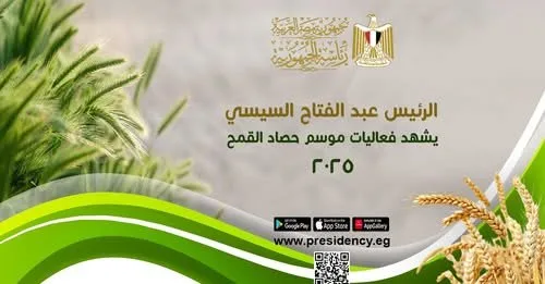نائب برلماني: تعليمات الرئيس للحكومة في فترة حصاد القمح ضرورية لتعزيز القطاع الزراعي وتحقيق الاكتفاء الذاتي وتقليص تكاليف الاستيراد. نائب برلماني: تعليمات الرئيس للحكومة في فترة حصاد القمح ضرورية لتعزيز القطاع الزراعي وتحقيق الاكتفاء الذاتي وتقليص تكاليف الاستيراد.