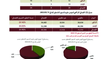 الهيئة العامة للتقاعد: 89 ألف مستفيد من مظلة التأمينات الاجتماعية