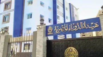 الهيئة المصرية للدواء تنظم ملتقى إلكترونياً لشرح الدليل الإرشادي لدور صيدلي الأورام في العلاج الإشعاعي