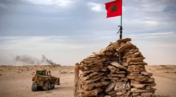 الوكالة الفرنسية للتنمية تعتزم استثمار 150 مليون يورو في الصحراء الغربية