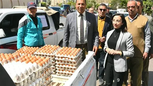اليوم.. إطلاق قافلة تضم 9 سيارات لحوما بلدية ومواد غذائية وبيض مائدة بالبحيرة اليوم.. إطلاق قافلة تضم 9 سيارات لحوما بلدية ومواد غذائية وبيض مائدة بالبحيرة