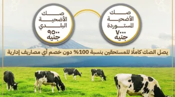 اليوم.. انطلاق حملة صكوك الأضاحي لعام 2025
