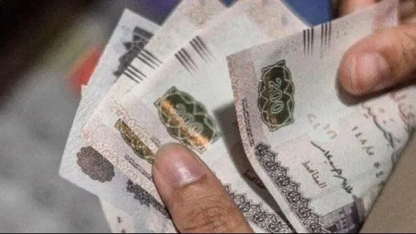تاريخ صرف رواتب مايو 2025: بيان مهم من وزارة المالية تاريخ صرف رواتب مايو 2025: بيان مهم من وزارة المالية