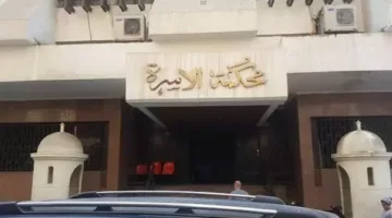حرمان من أبناءه لمدة عامين: أب يسعى لتحقيق العدالة من أجل لحظة لم الشمل