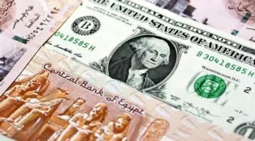 انخفاض سعر الدولار أمام الجنيه في نهاية تداولات يوم الأربعاء 14 مايو 2025