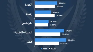 بالأرقام.. الإنتخابات البلدية بين عامي 2016 و2025! (صورة)
