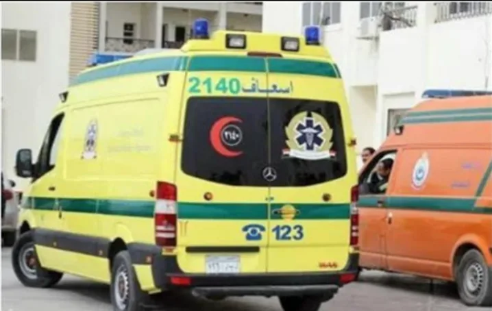 بالأسماء: وفاة وإصابة 22 عاملاً زراعياً جراء انقلاب سيارة عمال في البحيرة بالأسماء: وفاة وإصابة 22 عاملاً زراعياً جراء انقلاب سيارة عمال في البحيرة
