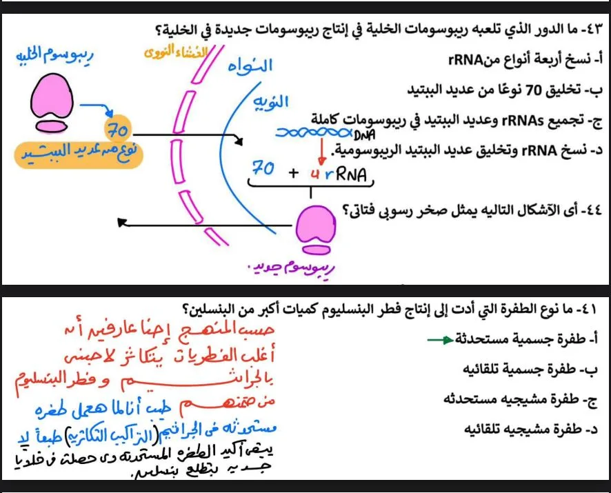 بالاجابات 43 سؤالا في الاحياء لـ الثانوية العامة 2025 بالاجابات 43 سؤالا في الاحياء لـ الثانوية العامة 2025