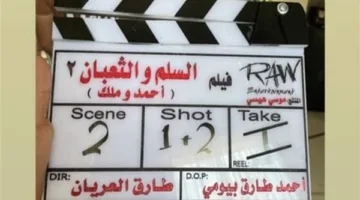 بالتزامن مع انطلاق تصويره.. القائمة الكاملة لأبطال "السلم والثعبان 2"