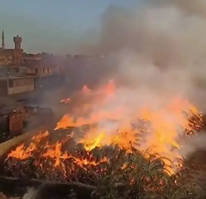 بالصور.. السيطرة على حريق شونة كتان في زفتى بالغربية بالصور.. السيطرة على حريق شونة كتان في زفتى بالغربية