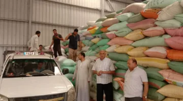 بالصور.. تسليم حوالي 200 ألف طن من القمح المحلي إلى صوامع وشون البحيرة