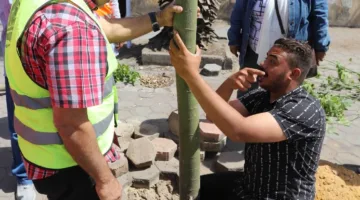 بتمويل من برنامج المنح الصغيرة: 1000 شجرة جديدة بالأميرية ضمن مشروع التكيف المناخي
