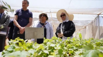 بحوث الصحراء يبحث مع “إيكاردا” سبل تعزيز الاستدامة الزراعية بمطروح