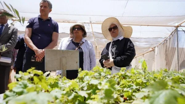 بحوث الصحراء يبحث مع “إيكاردا” سبل تعزيز الاستدامة الزراعية بمطروح بحوث الصحراء يبحث مع “إيكاردا” سبل تعزيز الاستدامة الزراعية بمطروح