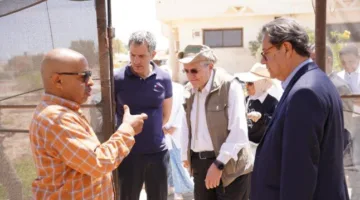 «بحوث الصحراء» يبحث مع وفد «إيكاردا» سبل تعزيز الاستدامة الزراعية بمطروح