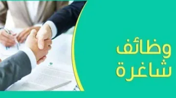 «براتب 8000».. الإعلان عن فرص ‏عمل جديدة في الإسماعيلية