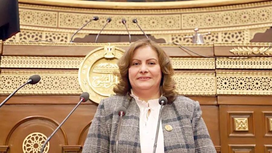 برلمانية: استقرار البحر الأحمر مرهون بوقف العدوان على غزة ومصر تتحرك لحماية أمنها القومي برلمانية: استقرار البحر الأحمر مرهون بوقف العدوان على غزة ومصر تتحرك لحماية أمنها القومي
