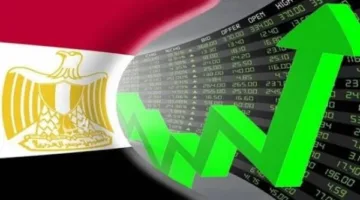 برلمانية: الاستثمار الذكي في السلامة العامة يُحقق عوائد اقتصادية طويلة الأجل