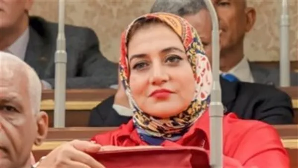 برلمانية تطالب بالتحقيق في شكاوى أعطال السيارات بسبب جودة البنزين برلمانية تطالب بالتحقيق في شكاوى أعطال السيارات بسبب جودة البنزين