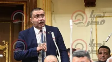 برلمانية حماة الوطن توافق على مشروع قانون الفتوى: يواجه الفوضى ولا يمس حرية التعبير
