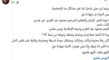 بعد إثبات طلاقها.. زوجة خالد الصاوي تكشف عن مفاجأة عن علاقة بوسي شلبي ومحمود عبد العزيز