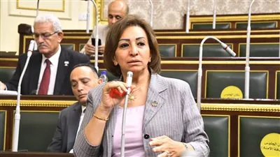 بعد بيان البترول بخصوص البنزين المغشوش . النائبة مها عبدالناصر: أين الشفافية؟ بعد بيان البترول بخصوص البنزين المغشوش . النائبة مها عبدالناصر: أين الشفافية؟