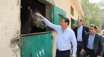 بعد تعليمات السيسي.. الزراعة توجه بتشكيل لجنة لتقييم وضع محطة الزهراء للخيول العربية الأصيلة وتحديد اللازم للتطوير